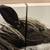 EXCELLENT! Used Canvas horse art ($85/each set of 4 panels) 7 thumbnail
