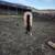 AQHA Buckskin Filly 5 thumbnail