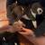 Microbully mixed american bully pups 17 thumbnail