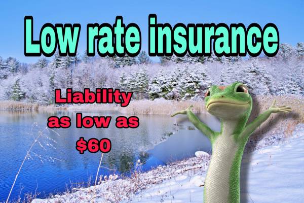 Car insurance 1