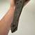 Antique Indian Indo Persian 17-1800s 18-19th C. Pata Gauntlet Sword Br 6 thumbnail