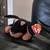 Beanie babies 6 thumbnail
