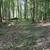 9 Acres For Sale - Bristol, OH 2 thumbnail