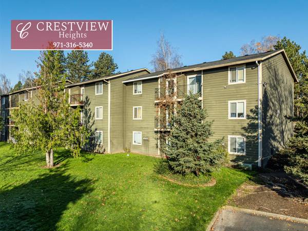 $1,350 / 1br - 1 MES GRATIS - Área de juegos en Spring Park - Dogwood Ciudad del Oeste (North Clackamas)63831326358913120