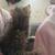 Help kitten 2 thumbnail