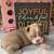 Boston Terrier pups 3 thumbnail