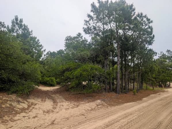 $59,500 SOLD: Wooded Lot in Carova Beach (3 of 4) (Carova, OBX)63693806930435121