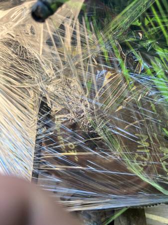 💲★2006 - 2008 FORD EXOPLORER - 4.0 L ENGINE - # 17301★💲 1