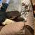 Brown couch 1 thumbnail