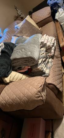 Brown couch 1