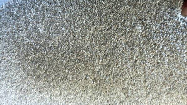 NEW CARPET ROLLS AND PADDING Brown/GRAY /WHITE 1