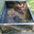 lawn trailer cart used condition 3 thumbnail