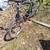 24" Huffy 15 speed bike 1 thumbnail
