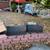 YARD SALE TODAY 6 thumbnail