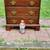 Pennsylvania House Solid Cherry Chippendale Bachelor's Chest 12 thumbnail