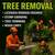 🪓🪚TREE REMOVAL SERVICE• BRUSH CLEANUP • STUMP GRINDING Serving Seattle 5 thumbnail
