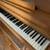 ***House Piano** 2 thumbnail