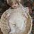 Mary Jane Muscarella and Debbette Dolls--4 Porcelain Heirloom Dolls 12 thumbnail