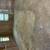Investor Special 3 bed 2.5 bath Ready for Assignment 5 thumbnail