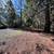 16+ acre mini ranch near lake oroville 2bd 1bath 16 thumbnail