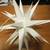 Lighted Moravian Christmas star 1 thumbnail