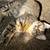 Grey/brown tabby kitten 2 thumbnail