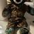 Build a bear 1 thumbnail