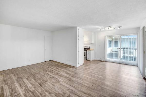 $1,850 / 1br - Laundry On-Site | Vinyl Plank Flooring | 1+1 in Hollywood, SPECIALS (Hollywood)63893108186754120