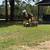 Tree service 15 thumbnail