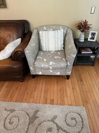 Living room chair and pillow 1