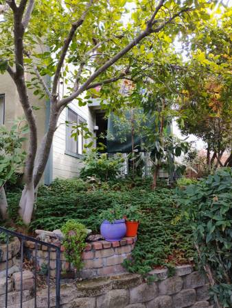$1,550 / 1br - Green Oasis: 1BR/1BA with Large Patio & Quiet Garden Setting (Sutter Creek)63952109487618120