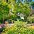 Covered parking, direct access to Napa River, Wood Burning Fireplace 2 thumbnail