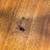 MCM Table John Keal for Brown Saltman Mid Century Dining Table 4 thumbnail