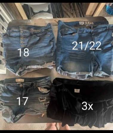 Plus size shorts 1