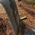 1958 Chevrolet hood 2 thumbnail