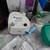 HUGE LOT OF 20 PHILIPS RESMED RESPIRONCS AND MORE!! 14 thumbnail