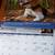 2026 WALL HANGING  CALENDARS - VARIOUS SUBJECTS - 12 MONTH 4 thumbnail