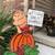 NEW FALL IRON DECOR 1 thumbnail