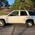 2008 Chevrolet Trailblazer LT 12 thumbnail