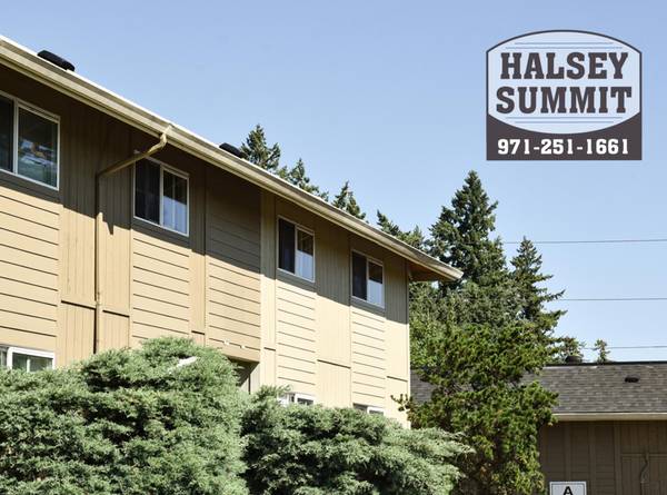 $1,215 / 1br - FREE MO. & SAVE $500 MORE! On-Site Laundry, Proximity to Freeway&Shops (Wilkes-East)63956354125698120