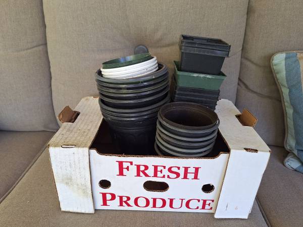 FREE nursery plant pots 1