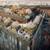 Two rooftop pools, including one lap length, Patios and terraces* 7 thumbnail