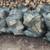 FIREWOOD READY TO USE 3 thumbnail