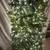 1990s 7ft. Artificial Christmas Tree with White Lights 9 thumbnail