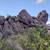 Escape the Heat! C.O.D. Ranch*Hike*Bike*Ride*Oracle State Park+Zipline 10 thumbnail