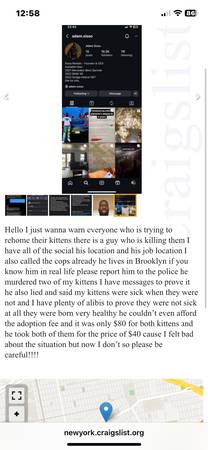WARNING PLEASE READ!!!!!63996312777090120
