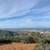 26 Acre Ocean View Parcel Custom Home Sites 7 thumbnail