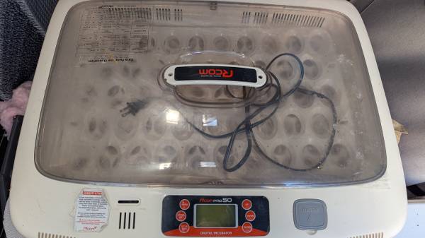 RCom 50 Pro Egg Incubator 1