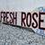 Authentic Americana  Incredible Find  Vintage Signs  (Fresh Roses)  Se 3 thumbnail