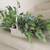 Plant in White Basket LOOKS REAL Iris + Frond Accents $180 Value 2 thumbnail